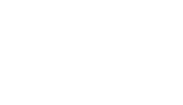 The Asset